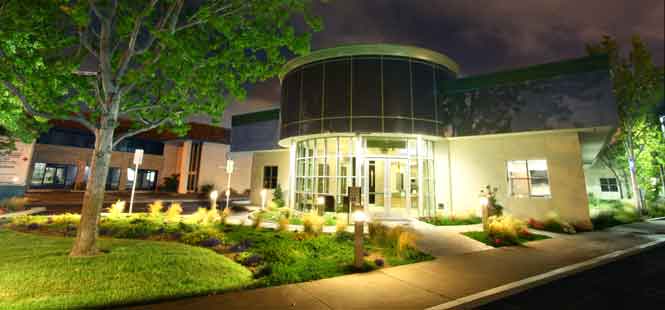 Night View